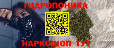 гашик Ливны