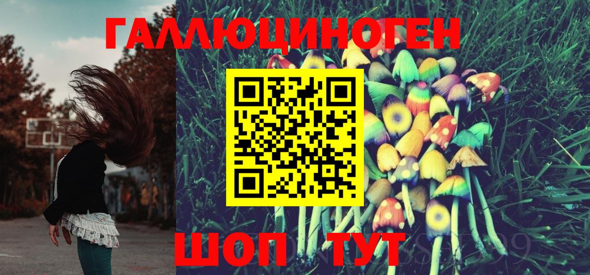 Калач-на-Дону  Псилоцибиновые грибы Psilocybine cubensis  Галлюциногенные грибы Cubensis  Вход с VPN 