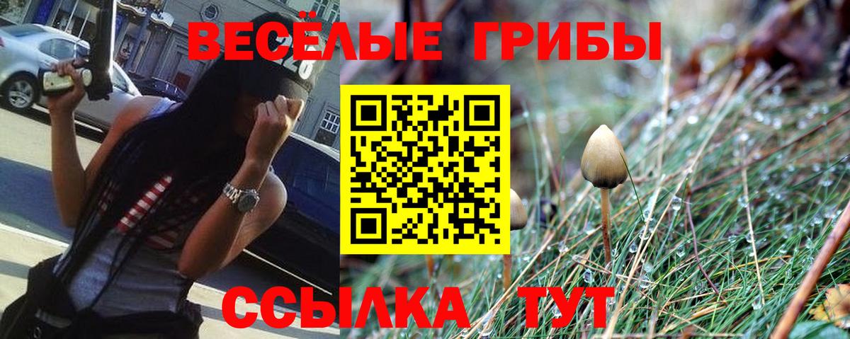Галлюциногенные грибы Psilocybine cubensis Калач-на-Дону
